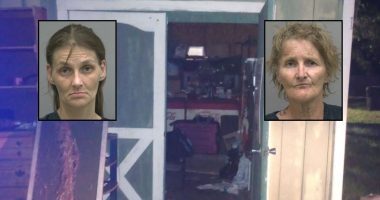 Mom ate entire 'footlong sandwich' meant to be shared with malnourished kids, then locked them in a dark shed near a highway so she could run a 'quick errand,' police say