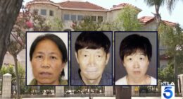 More than 20 kids seized by CPS after discovering agency that allegedly tricked surrogate mothers