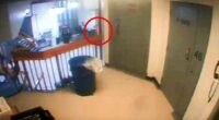 A shadowy, orange object could be seen moving up the stairs to Epstein's cell block at the New York prison at around 10:40pm the night before he was found dead