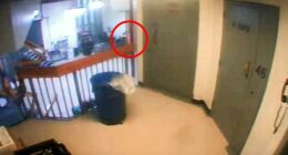 A shadowy, orange object could be seen moving up the stairs to Epstein's cell block at the New York prison at around 10:40pm the night before he was found dead