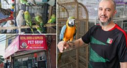NYC bill would ban pet stores from hawking birds — leaving activists crowing and small-biz owners crying fowl