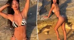 Nicole Scherzinger, 47, sizzles in animal-print bikini: ‘Hot AF!’