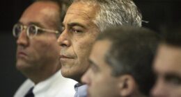 Nobody Is Buying the Epstein Memo