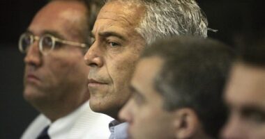 Nobody Is Buying the Epstein Memo