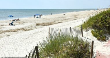 A 15-year-old girl was hospitalized after a pickup truck performing beach survey work ran over her legs while she was sunbathing on a public beach in Oak Island, authorities confirmed. Pictured: Oak Island Beach, North Carolina