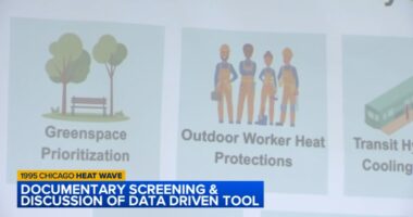 OEMC, cooling centers, AC and more: What's changed since the deadly 1995 Chicago heat wave