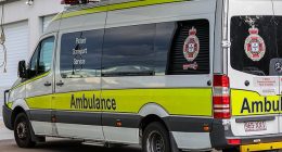 A 63-year-old man died after falling 20 metres while paragliding in Far North Queensland