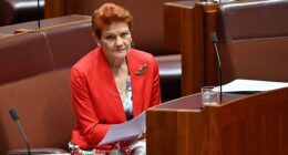 Pauline Hanson claims schools are confusing children about gender, citing her grandson’s classroom experience