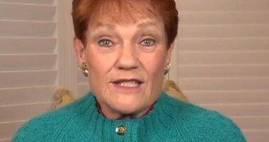 One Nation leader Pauline Hanson has slammed Anthony Albanese for meeting with Chinese President Xi Jinping before seeing Donald Trump in person
