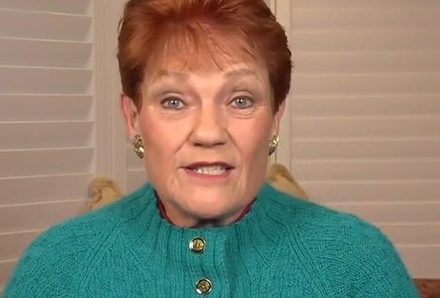One Nation leader Pauline Hanson has slammed Anthony Albanese for meeting with Chinese President Xi Jinping before seeing Donald Trump in person