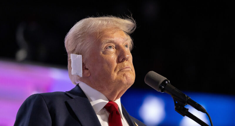 Plastic Surgeon Walks Us Through Trump's Ear Injury One Year After Assassination Attempt