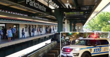Postal worker allegedly sent threats to NYPD cop after subway pepper spray summons: sources