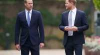 Prince William No Longer ‘Seething’ at Brother Prince Harry