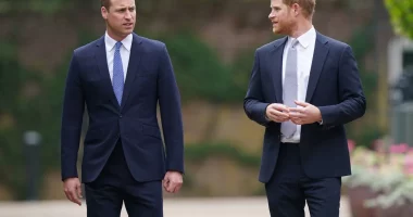 Prince William No Longer ‘Seething’ at Brother Prince Harry