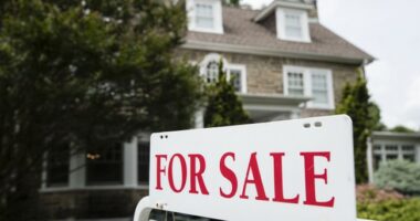 Red Flag: Chinese Buyers Snap Up U.S. Homes