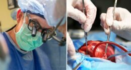 Researchers try new ways of preserving more hearts for transplants