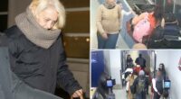 Russian stowaway says she snuck onto Paris-bound flight at JFK to ‘save my life’ in deluded courtroom rant