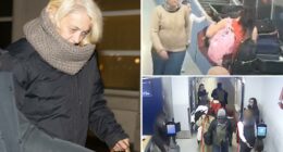 Russian stowaway says she snuck onto Paris-bound flight at JFK to ‘save my life’ in deluded courtroom rant