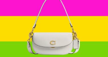 Save $165 on a Coach bag during the Nordstrom Anniversary Sale