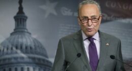 Schumer’s Tantrum: One Purple Crayon Away from a Shutdown