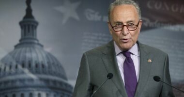 Schumer’s Tantrum: One Purple Crayon Away from a Shutdown