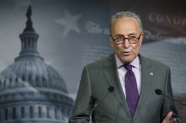Schumer’s Tantrum: One Purple Crayon Away from a Shutdown