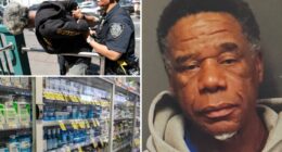Serial NYC shoplifter waltzes free despite staggering 254 arrests