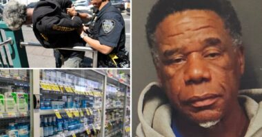 Serial NYC shoplifter waltzes free despite staggering 254 arrests