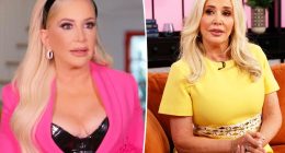 Shannon Beador pulled over and cited by cops nearly 2 years after DUI arrest: report