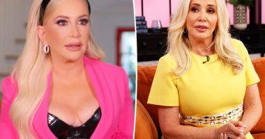 Shannon Beador pulled over and cited by cops nearly 2 years after DUI arrest: report