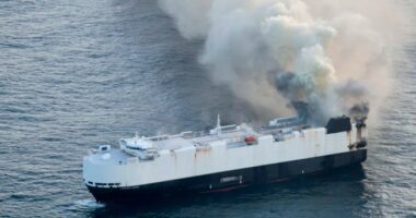 Shipping Companies Suddenly Avoiding EVs