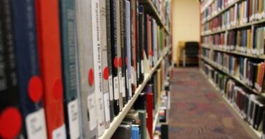 Should Public Libraries Serve as Homeless Shelters?
