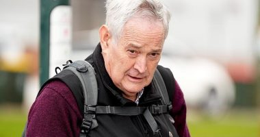 Ian Wilkinson (pictured on June 25) attended almost every day of Erin Patterson's 10-week trial