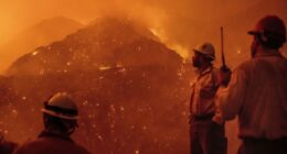 Sorry, L.A. Fire Victims, the NGO Borg Ate Your FireAid Money