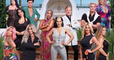 Stream It Or Skip It: ‘Botched Presents: Plastic Surgery Rewind’ On E!, Where Over-Implanted And Over-Filled Celebrities Must Decide Whether They Want To Undo Their Procedures 