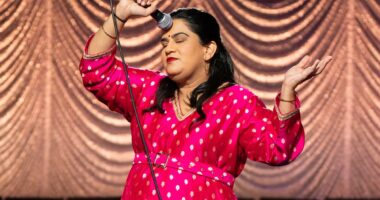 Stream It Or Skip It: ‘Zarna Garg: Practical People Win’ On Hulu, The Funny Aunty Tearing Down Mothers-In-Law
