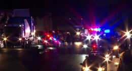 The motorcyclist was travelling on the M4 Motorway when he was thrown onto the road and struck by a police car after he had collided with a white sedan