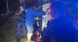 Police have made three arrests after conducting firearms compliance checks in Sydney's west