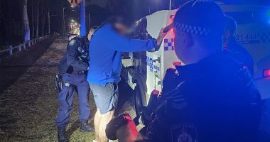 Police have made three arrests after conducting firearms compliance checks in Sydney's west