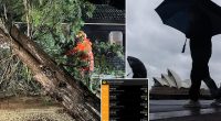 Sydney weather chaos: Bomb cyclone hits, disrupting transport and leaving 30,000 without power
