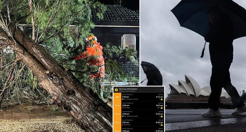 Sydney weather chaos: Bomb cyclone hits, disrupting transport and leaving 30,000 without power