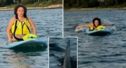 Terrified Massachusetts paddleboarders capture close encounter with great white shark off Cape Cod beach: ‘We got to go’