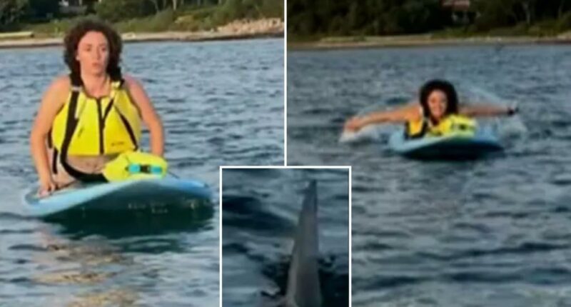 Terrified Massachusetts paddleboarders capture close encounter with great white shark off Cape Cod beach: ‘We got to go’