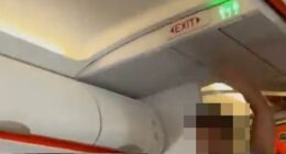 Terrifying moment easyJet passenger yells 'I've got a bomb' on packed flight before hero pins him down