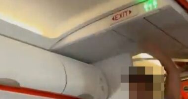 Terrifying moment easyJet passenger yells 'I've got a bomb' on packed flight before hero pins him down