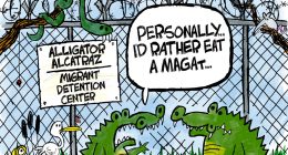 clay jones alligator alcatraz