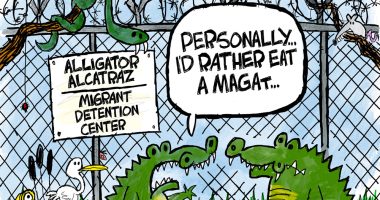 clay jones alligator alcatraz