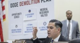 The Democrat Revolution Is Eating Its Own