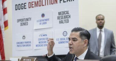 The Democrat Revolution Is Eating Its Own