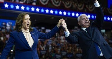 The Morning Briefing: The Dem 2024 Election Post Mortems Are Marvelous Entertainment